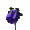 Blue Flower