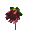 Red Flower