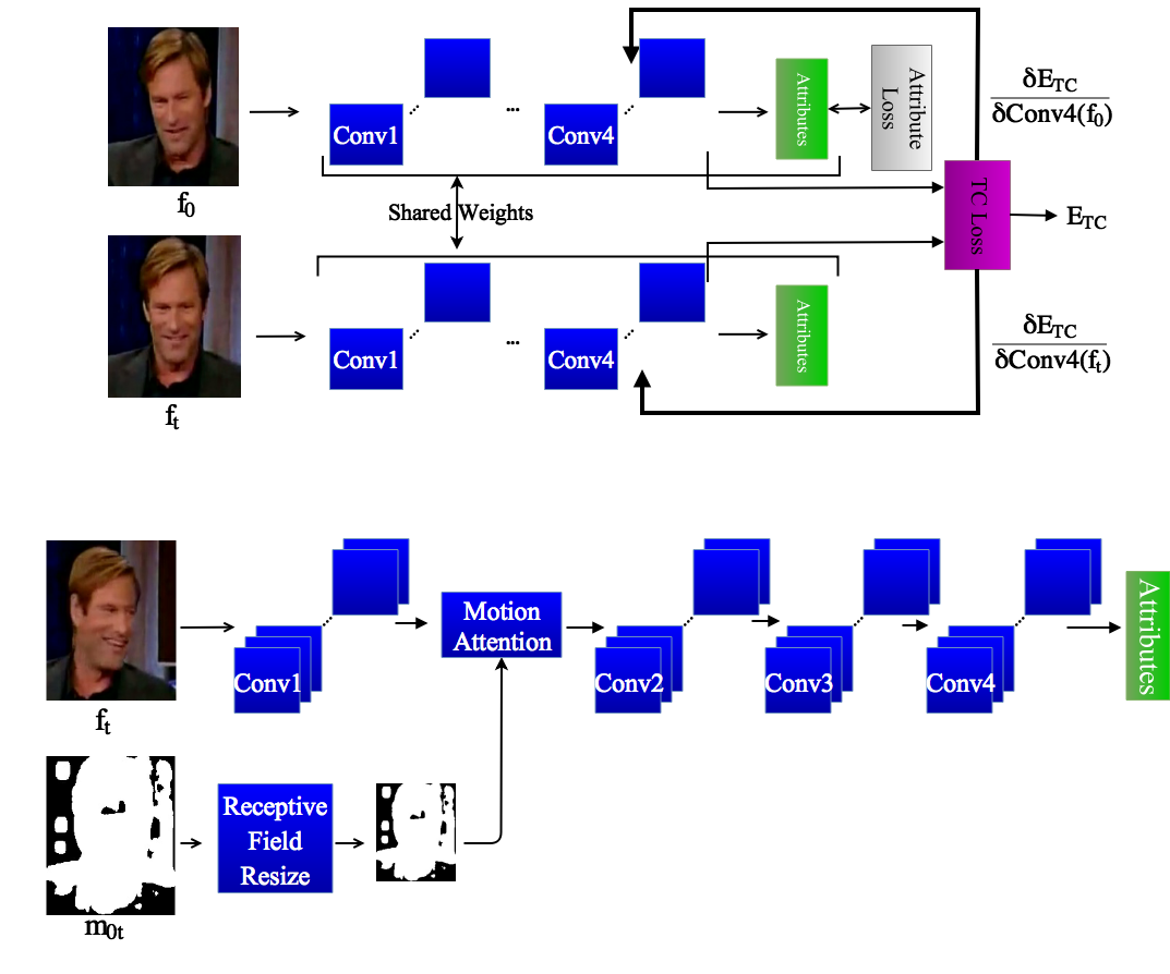 Temporal Coherence and Motion Attention