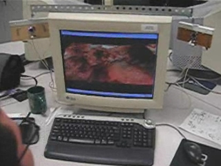System in use