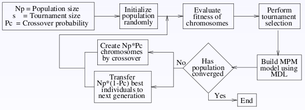 ECGA Algorithm Flowchart