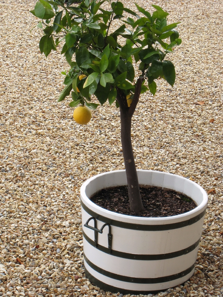 Orangery Garden