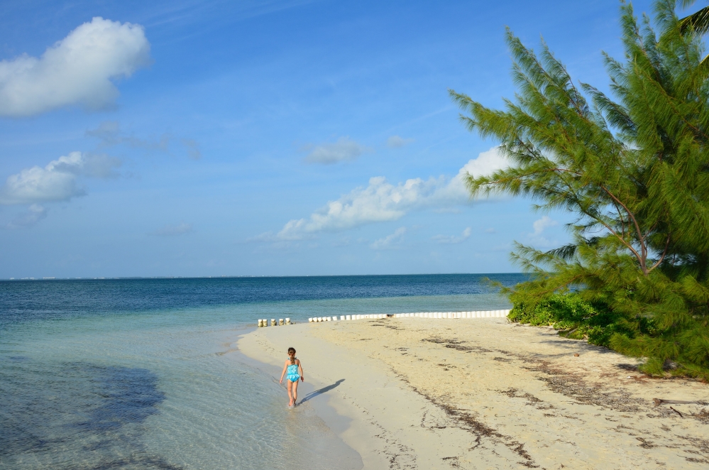Starfish Point, Water Cay