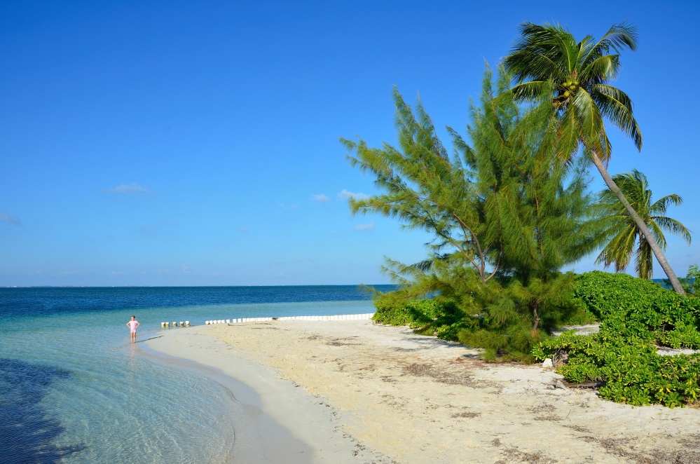 Starfish Point, Water Cay