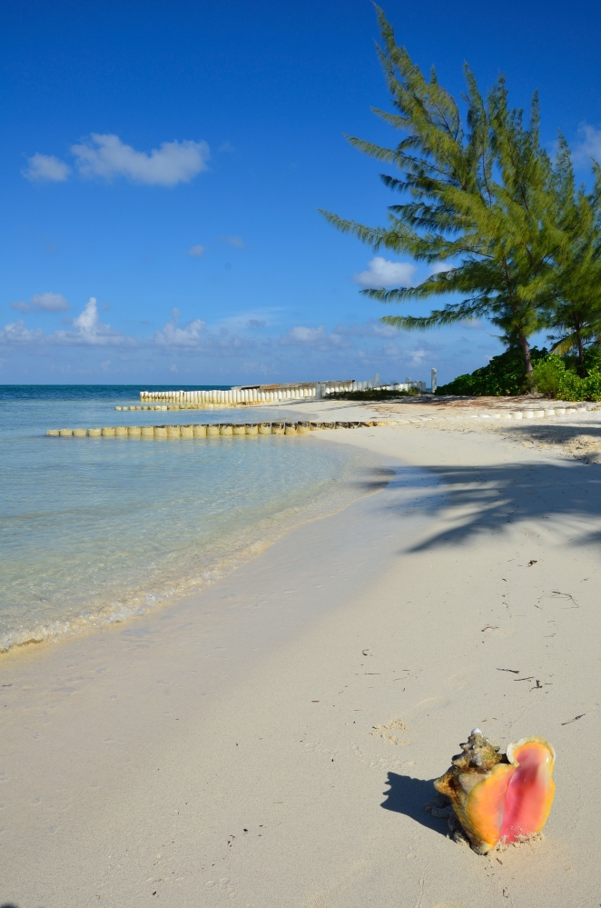 Starfish Point, Water Cay