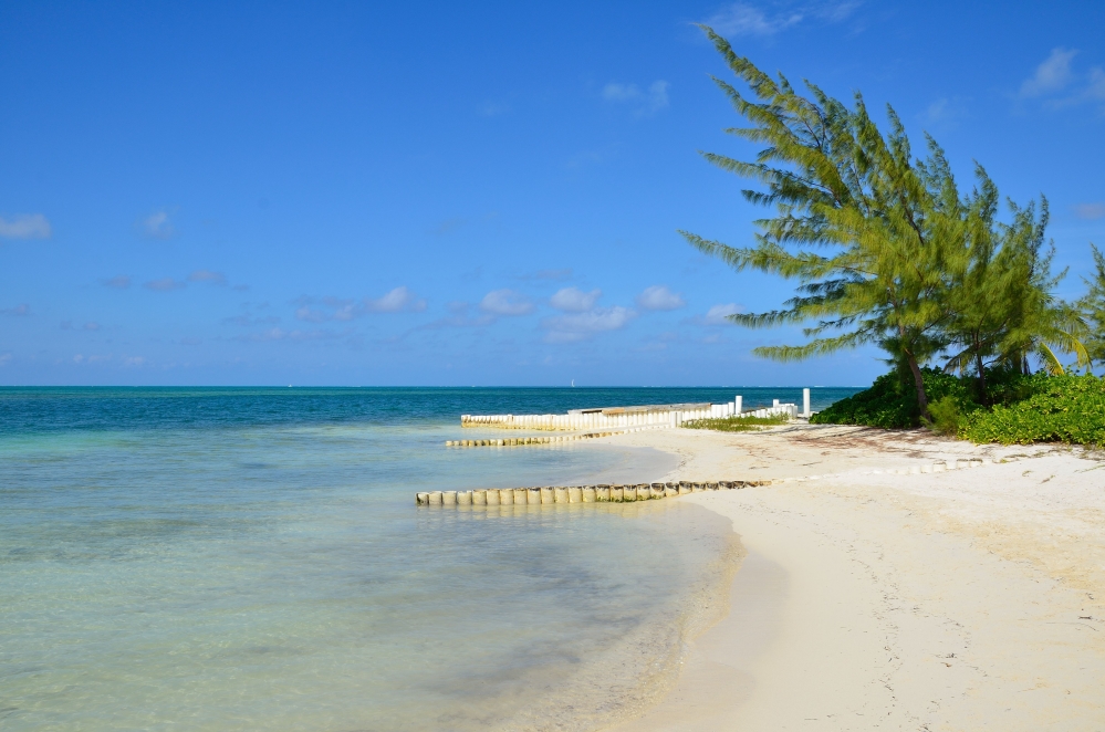 Starfish Point, Water Cay