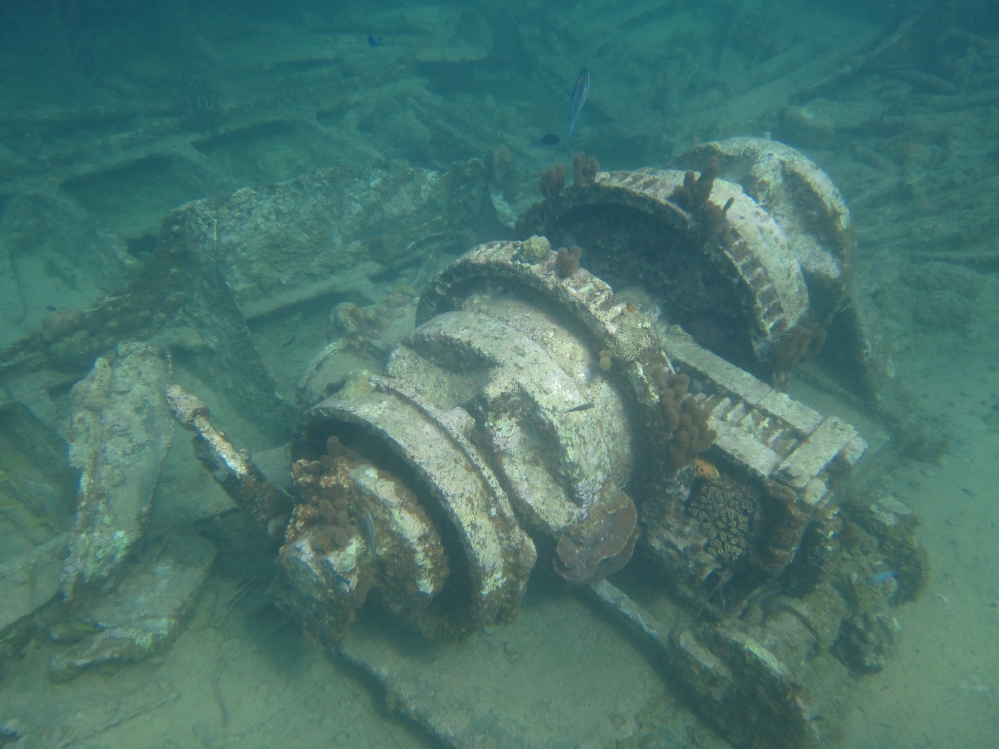 Wreck of the Cali