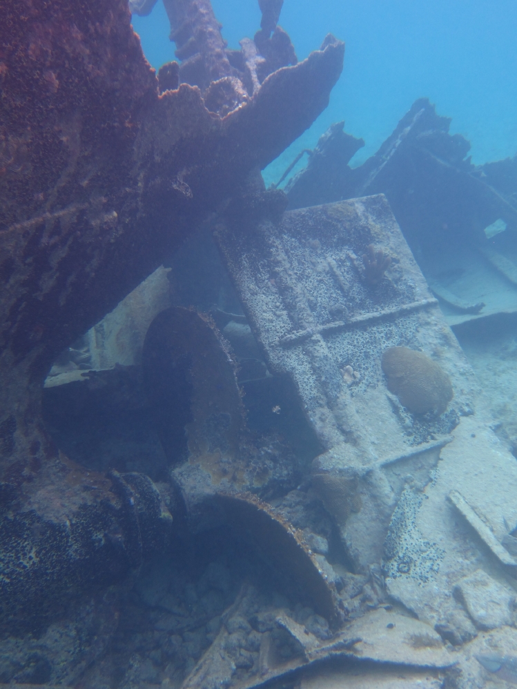 Wreck of the Gamma