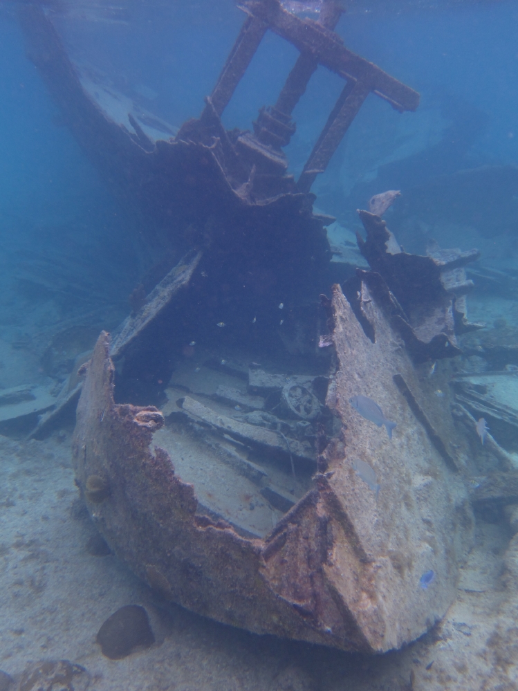 Wreck of the Gamma