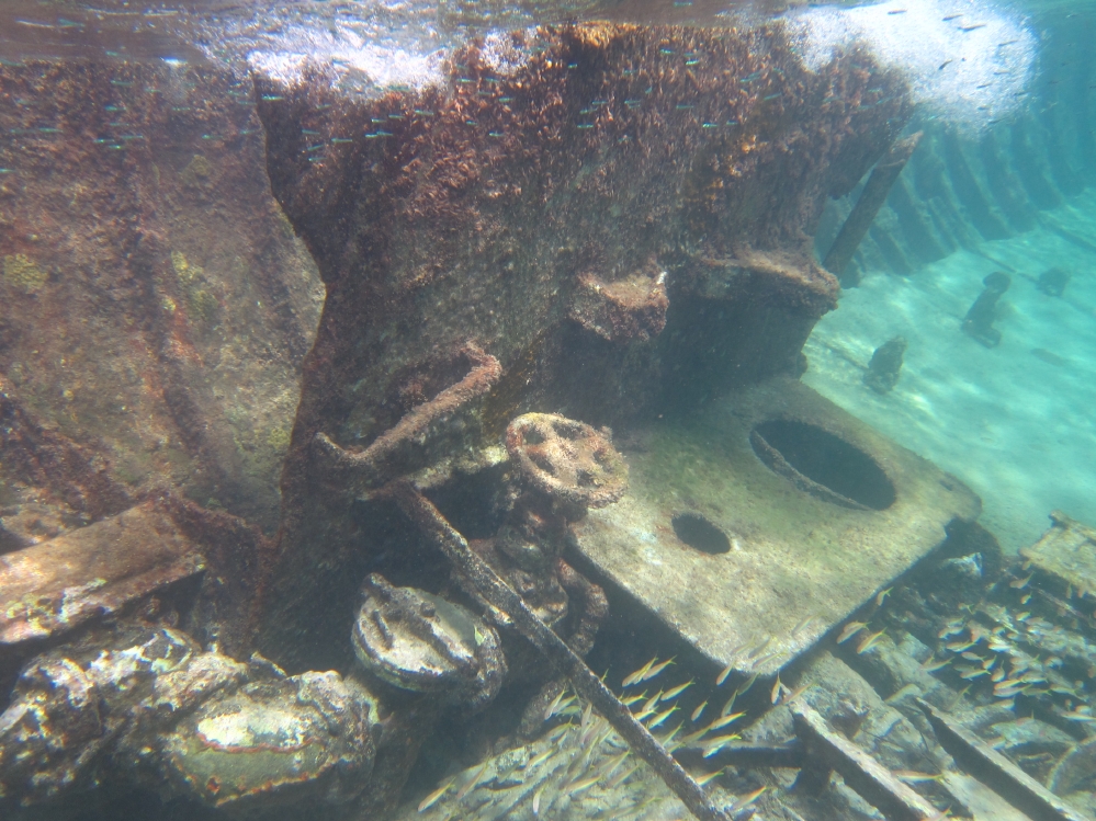 Wreck of the Gamma