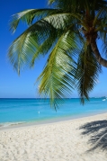 Seven Mile Beach
