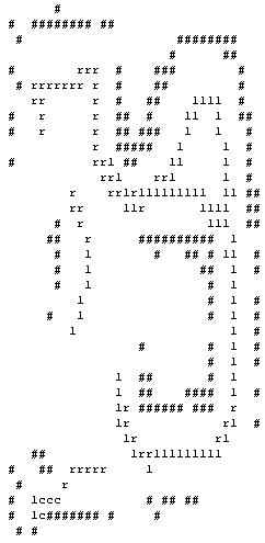 Example of Custom Ascii Map (Which was created by the robot)