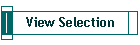 View Selection
